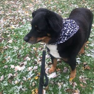 Meet your Posher, Pamela